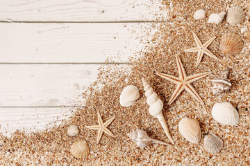 Sand seashells background. Summer time concept with sea shells and starfish on wooden background...