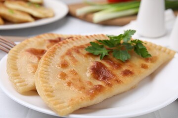 Delicious fried cheburek with cheese and parsley on white tiled table