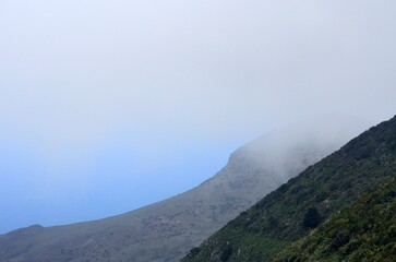 Fototapeta na wymiar Niebla oculta las montañas cerca de Alojera, La Gomera