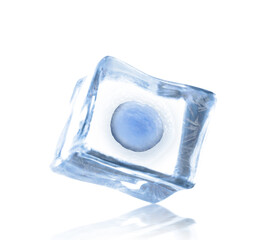 Cryopreservation of genetic material. Ovum in ice cube on white background