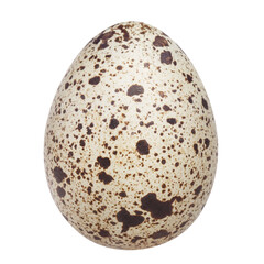 Delicious quail egg cut out