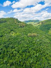 Fototapeta na wymiar Aerial view of a forest in a valley