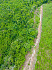 Naklejka premium Aerial view of a vineyard