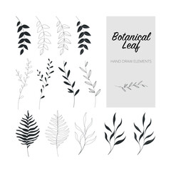 Set of leaves. Vector EPS10