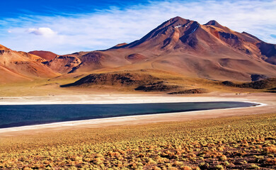 Beautiful spectacular colorful andes high plains landscape, dark blue lonely quiet calm lake lagoon, rugged mountains, arid ground with yellow dry grass   - Laguna Miscanti, Chile