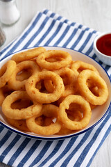 Homemade Breaded Onion Rings with Ketchup on a Plate, side view.
