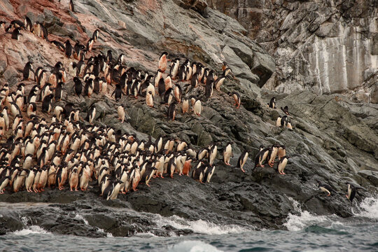 Heroina Island