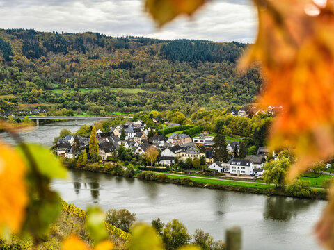 Senhals village on the Moselle river bank view through leaves frame in Cochem-Zell district, Germany