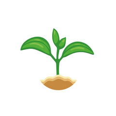 Green sprout grows from the ground. It symbolizes life and development and ecology. Sprout grain icon. Eco icon. Vector ilustration