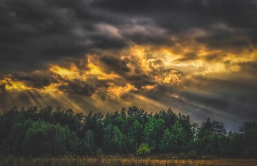 Dance of light - photo from a trip.