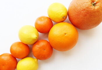 citrus fruits on white background