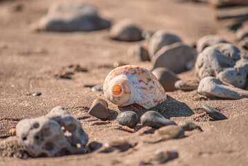 Pesca de otoño en la playa