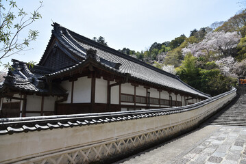 春の長谷寺　昭和寮　奈良県桜井市初瀬