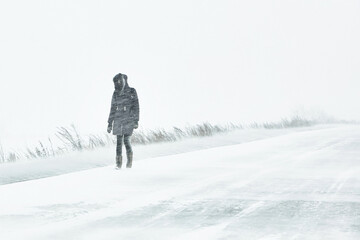 Fototapeta na wymiar the snowstorm is cold a person has fallen into extreme living conditions is walking along the road through a blizzard in the city, the winter is cold..