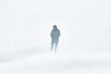 the snowstorm is cold a person has fallen into extreme living conditions is walking along the road through a blizzard in the city, the winter is cold..