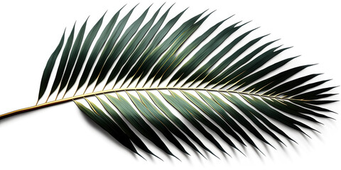 Obraz premium A single palm frond, standing out against a stark white background, creates an image of serenity and peace. - generative ai.