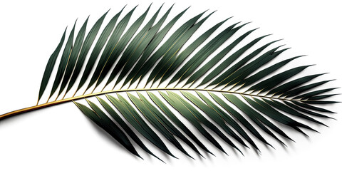 Obraz premium A single palm frond stands against a pristine white background, its tender green leaves swaying slightly in the warm breeze - generative ai.