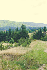 landscape in the mountains