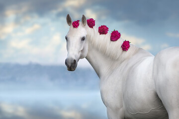 White horse with flowers in mane