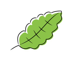 green leaf design element