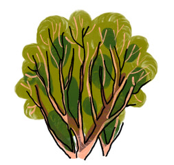 The spring tree illustration is suitable for eco-themed presentations and wildlife projects. Park trees green eco environment.