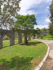 Un día solead en el bosque de Xochimilco en primavera.