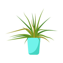 House plants in a pot. Interior Scandinavian design. Design element. . Vector illustration