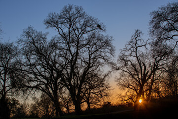 Fototapeta na wymiar Winter Sunset at McConnel State Park