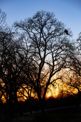 Winter Sunset at McConnel State Park