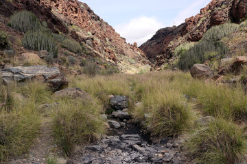 Barranco de los Guinchos San Agustin