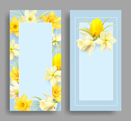 Romantic delicate cards with floral border of daffodils and tulips. Template for greeting postcards, invitation. Vector set.