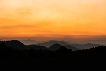 Sunset at fields of barley trees on nature background.