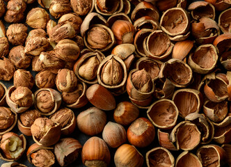 hazelnut and nutshell.beautiful cracked hazelnuts and shell for wallpaper banner background.closeup of hazelnuts with texture.