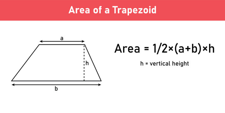Area formula of trapezoid shapes. Area formulas for trapezium 2d shapes. Vector illustration isolated on white background.