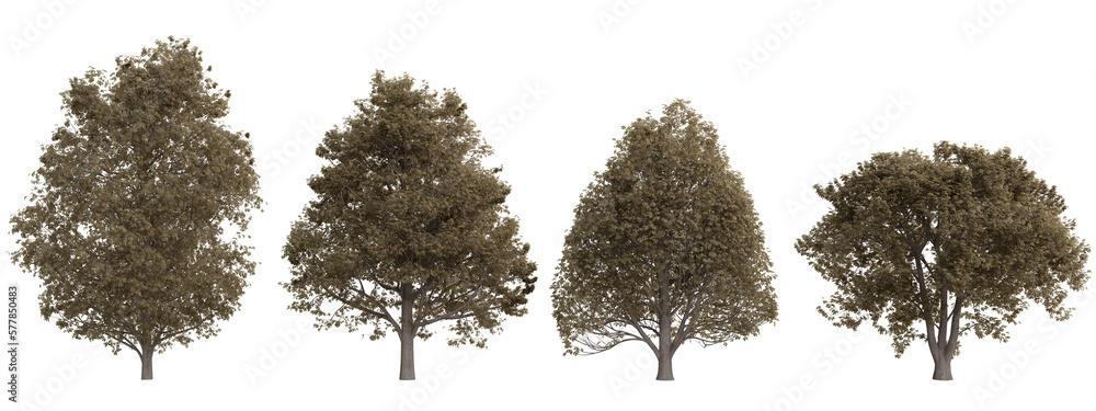 Poster isolated trees on transparent background.3d rendering png set