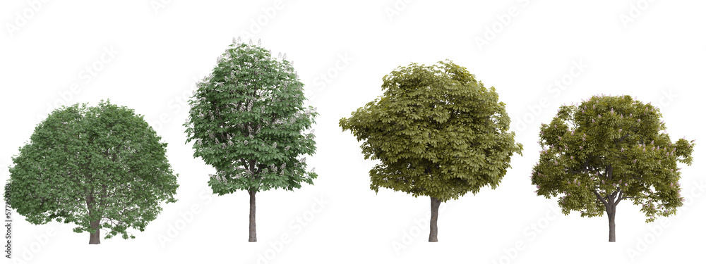 Poster isolated trees on transparent background.3d rendering png set