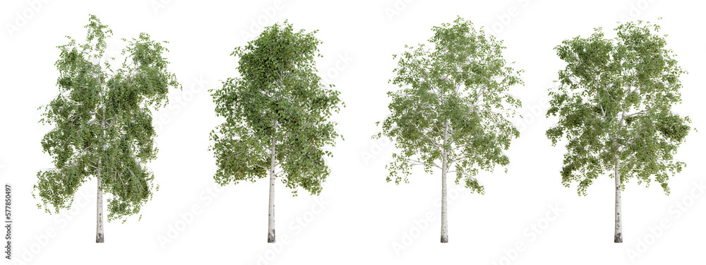 Poster isolated trees on transparent background.3d rendering png set