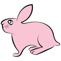 Obraz premium single rabbit1 5 3 66
