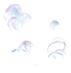 Many Pastel Feather fly fall in Air over white background isolated. Puffy Fluffy soft feathers as purity smooth like dream floating dove in sky. Angle flying from heaven, photo motion