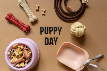 Close up of a dog  bowl with bones, leather leash, water bottle, ball on brown background. Title Puppy day in the middle. Dog accessories, rubber toys. Minimalistic background.	
