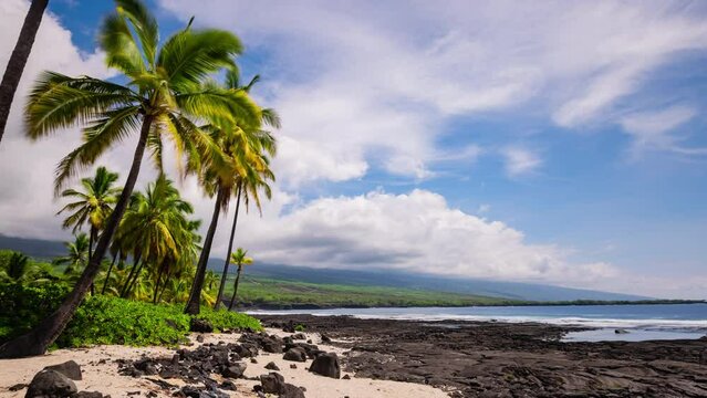 Timelapse -  Beautiful coastal view of the beach with coconut Palm tree and cloudscape in Hawaii