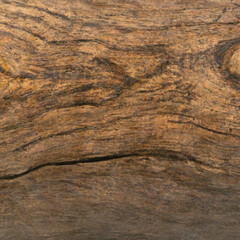 texture longitudinal section of an old tree