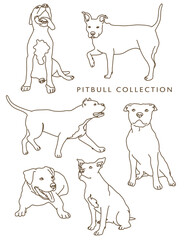 Pitbull Outline Illustrations in Various Poses