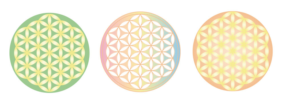 ワンネス フラワーオブライフ アートパネル ワンネス フラワーオブライフ アートパネル 楽天市場】フラワー