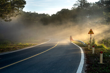 Sunbeams shine through pine forest with early morning dew on roads in the highlands of Da Lat city,...