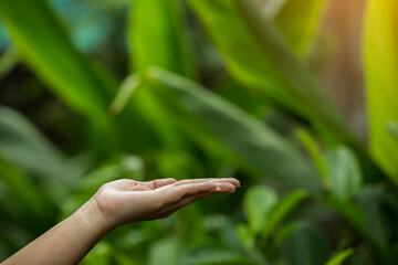 Technology, hand holding with environment  on green background
