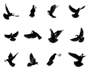 Set of doves with olive branches on white background. International Peace Day