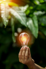 light bulbs green on background