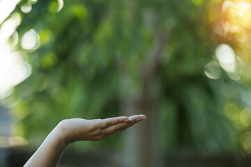 Technology, hand holding with environment  on green background