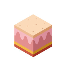 skin tissue, isometric style